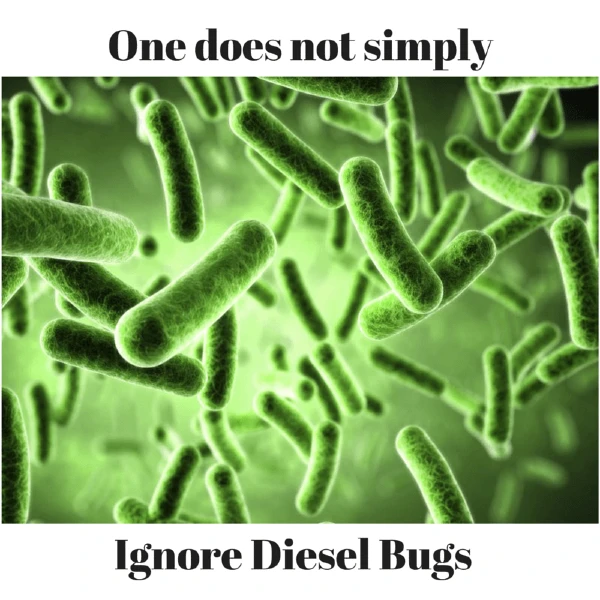 diesel bacteria bugs in fuel