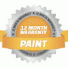 12 month paint warranty